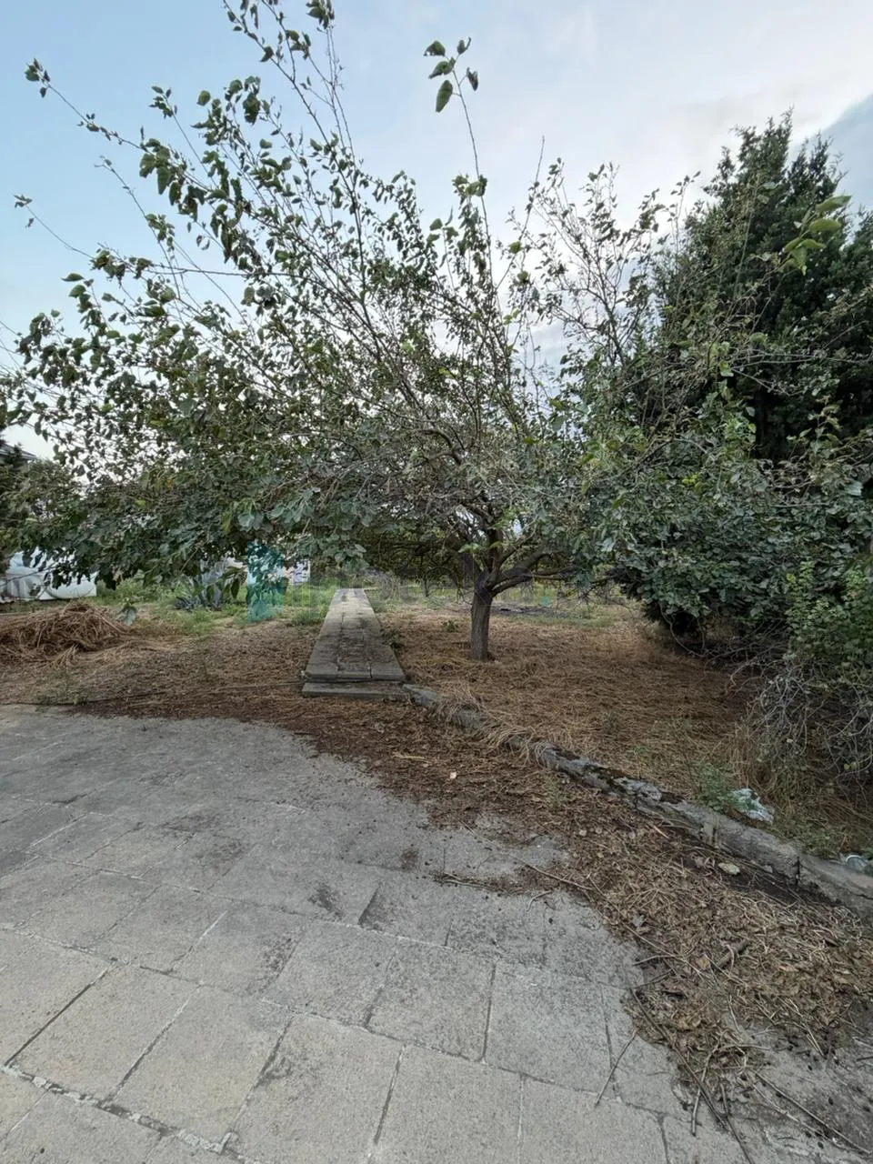 Satılır: Torpaq, Xəzər r., Şağan q., 6.00 m² — Torpaq (3)