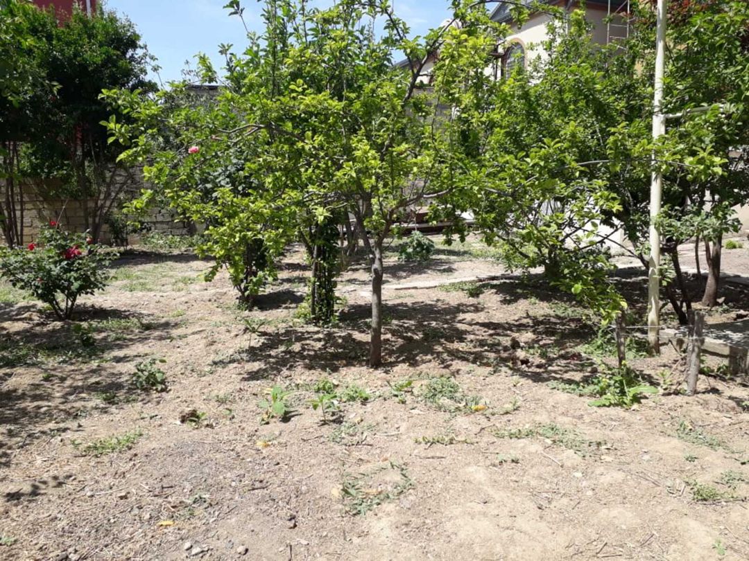 Satılır torpaq 4.3 sot — Torpaq, Bakı (6)