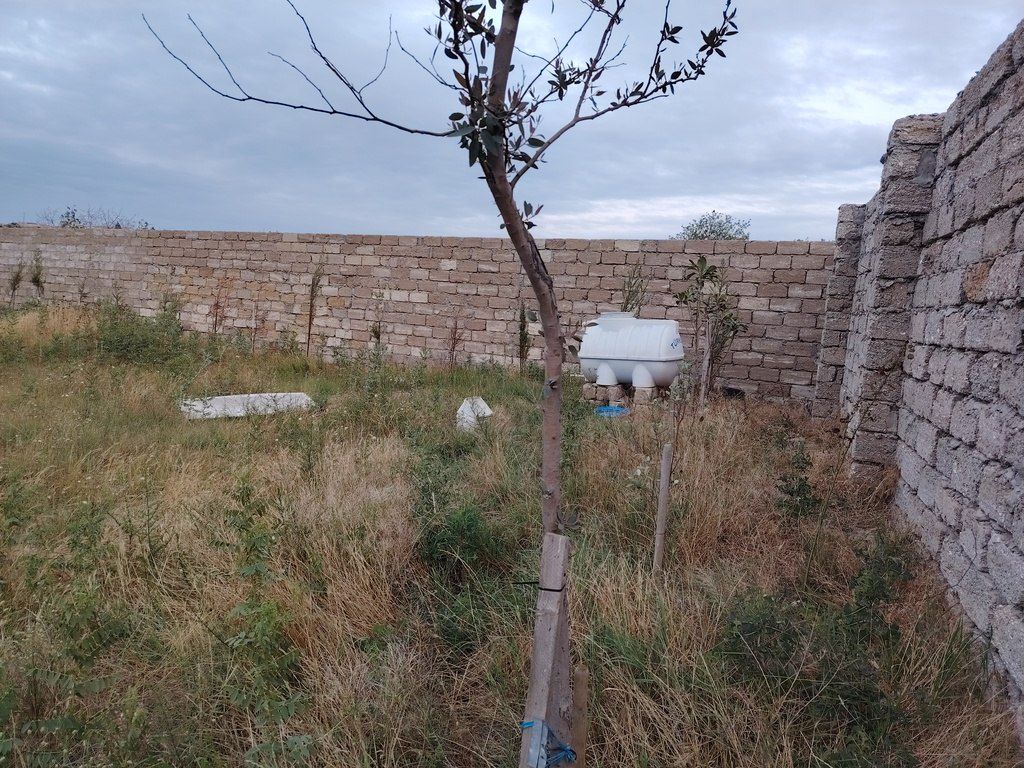 Satılır torpaq 15 sot — Torpaq, Bakı (5)