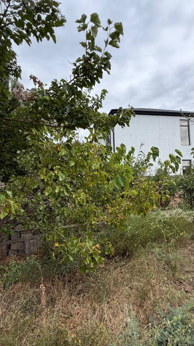 Satılır torpaq 13 sot — Torpaq, Bakı (9)