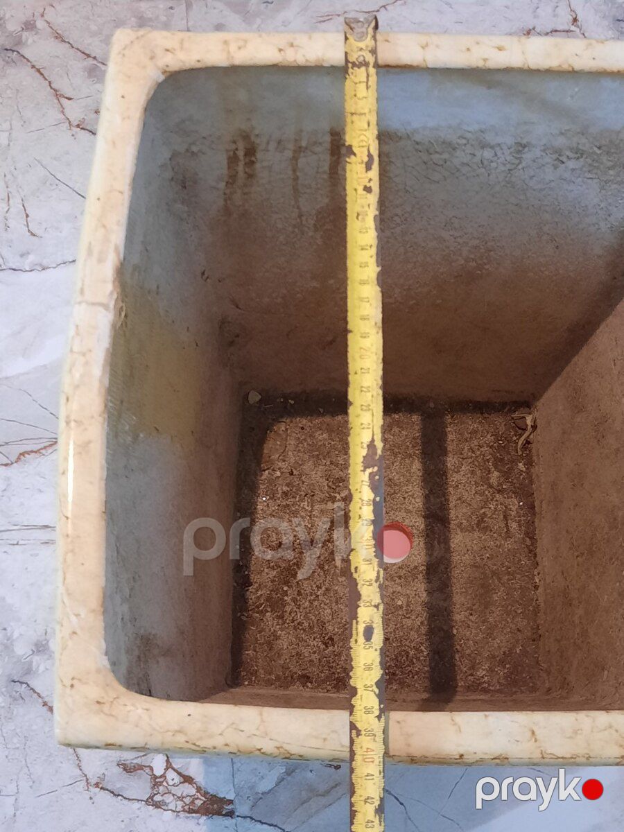 Keramik dibçək — Bitkilər, Ağcabədi (4)