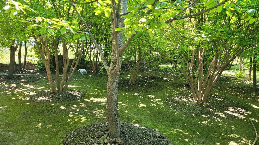 Həyət evi, Xaçmaz ş — Ev, villa, Xaçmaz (4)