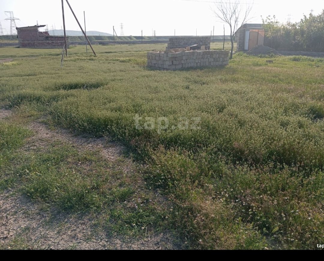 3 sot torpaq sahəsi, Şirvan ş — Torpaq, Şirvan (3)