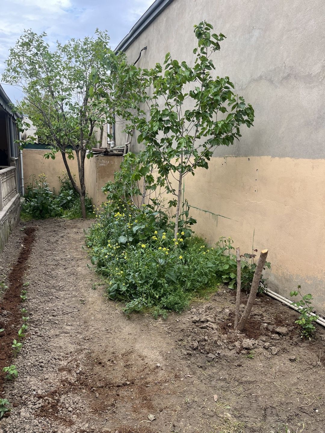Satılır 4 otaqlı həyət evi/bağ evi 146 m² — Ev, villa, Xırdalan (9)