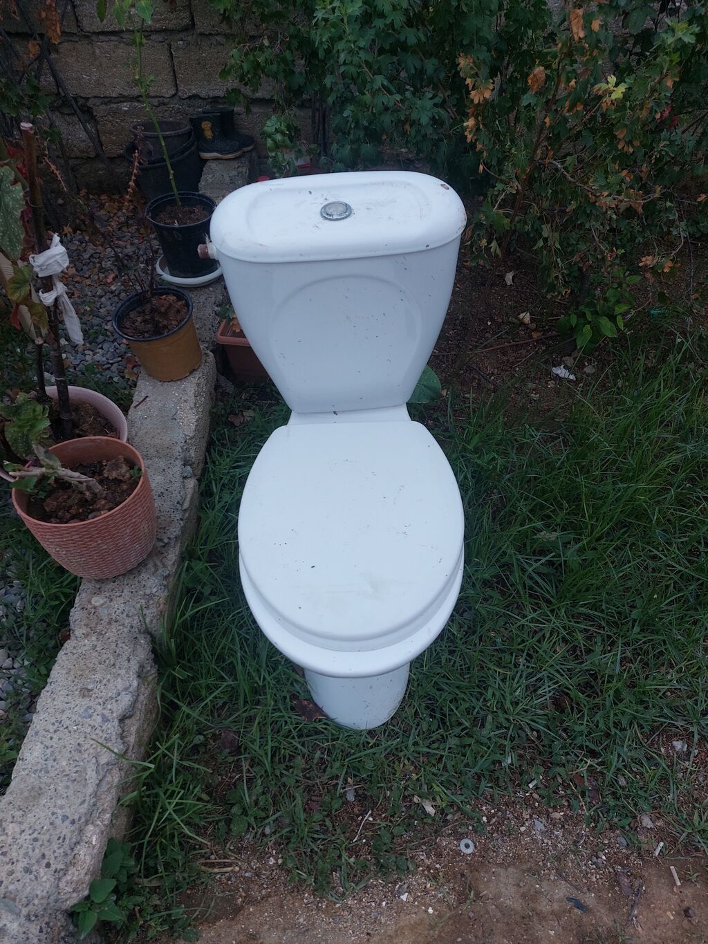 Sifonlu unitaz dəsti - Komplekt: aşağıdan çıxışlı keramika qab, üst — Tualetlər, Digah