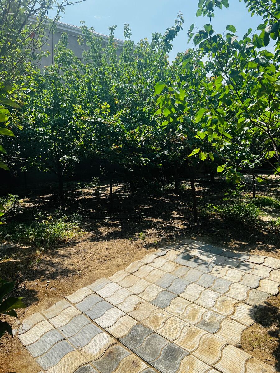 Satılır 8 otaqlı həyət evi/bağ evi 200 m² — Ev, villa, Bakı (5)