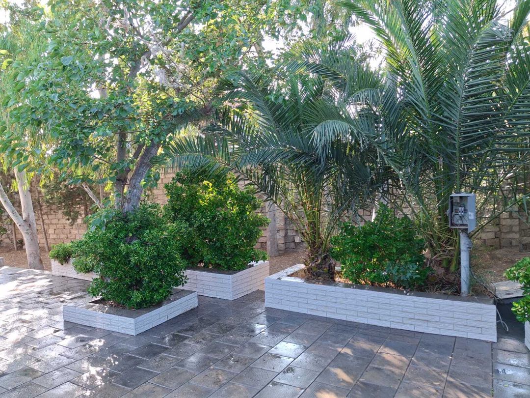 Satılır 2 otaqlı həyət evi/bağ evi 100 m² — Ev, villa, Bakı (4)