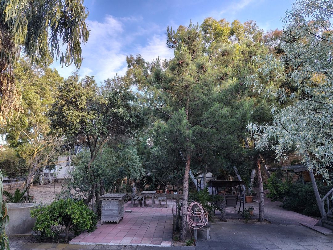 Satılır torpaq 44 sot — Torpaq, Bakı (3)