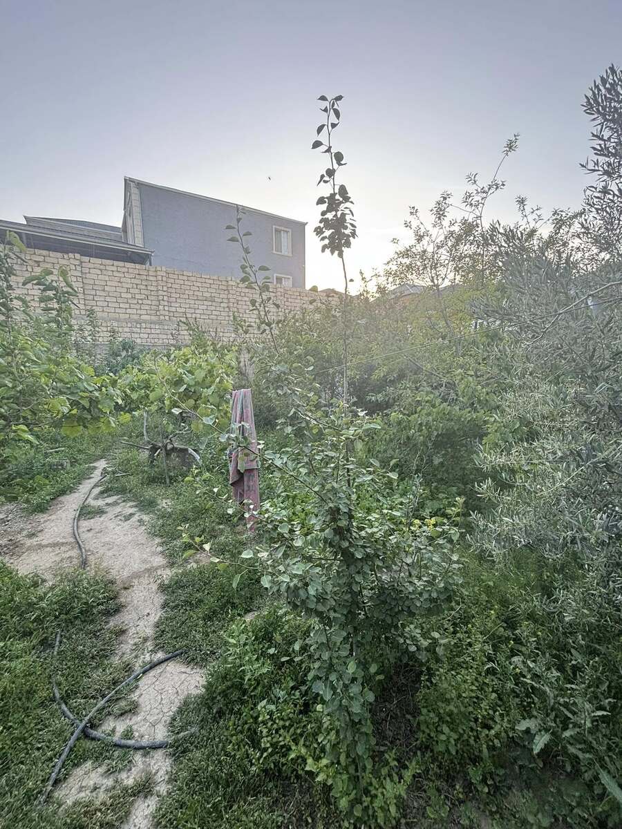Satılır torpaq 3 sot — Torpaq, Bakı (9)
