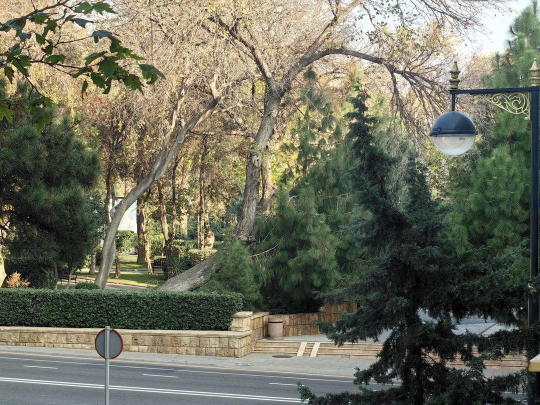 İcarəyə verilir 2 otaqlı köhnə tikili 60 m² — Mənzil, Bakı (7)