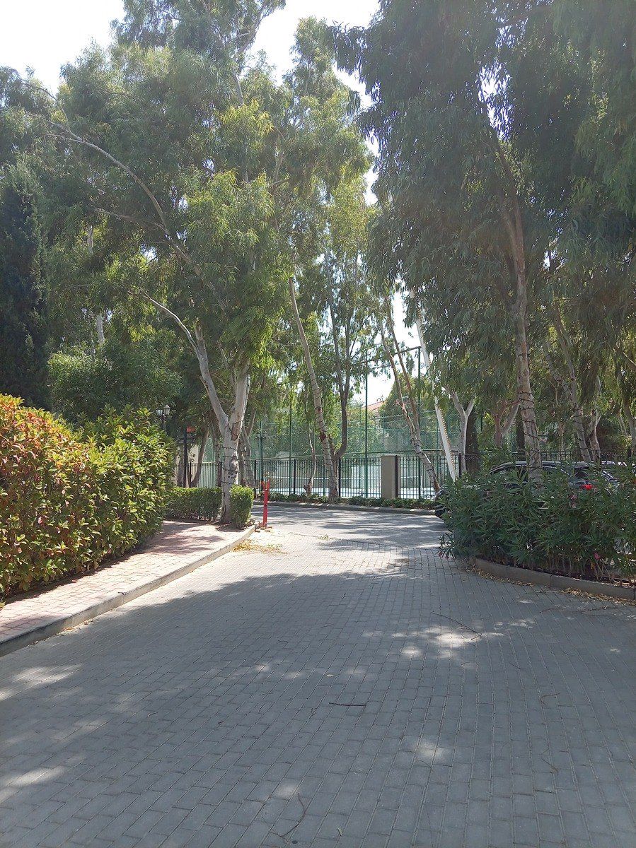 Satılır 7 otaqlı həyət evi/bağ evi 400 m² — Ev, villa, Bakı (2)