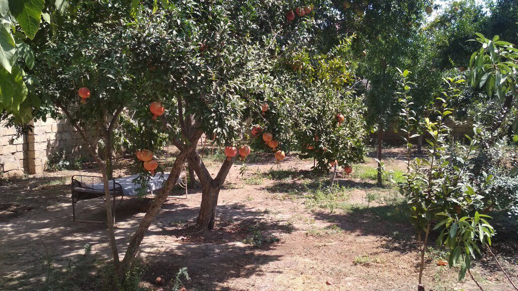3 sot torpaq sahəsi, Xırdalan ş — Torpaq, Xırdalan (6)