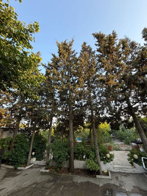 Satılır 3 otaqlı həyət evi/bağ evi 54 m² — Bakı