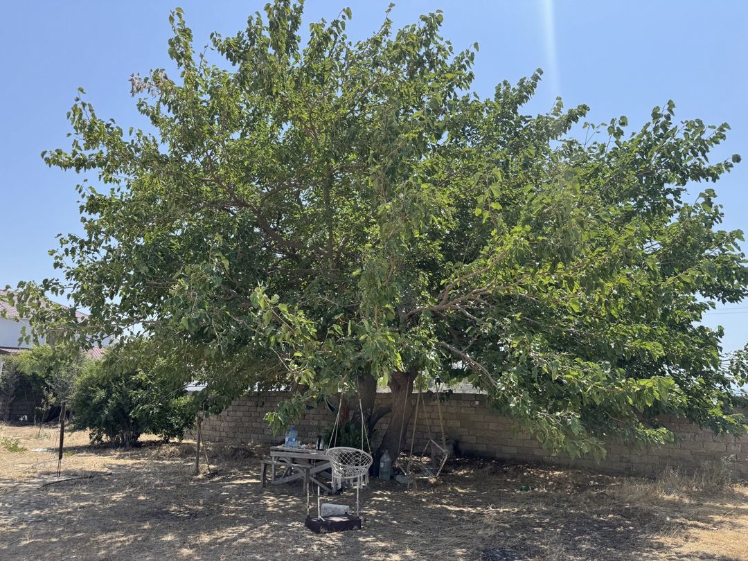 Satılır torpaq 7 sot — Torpaq, Bakı (5)