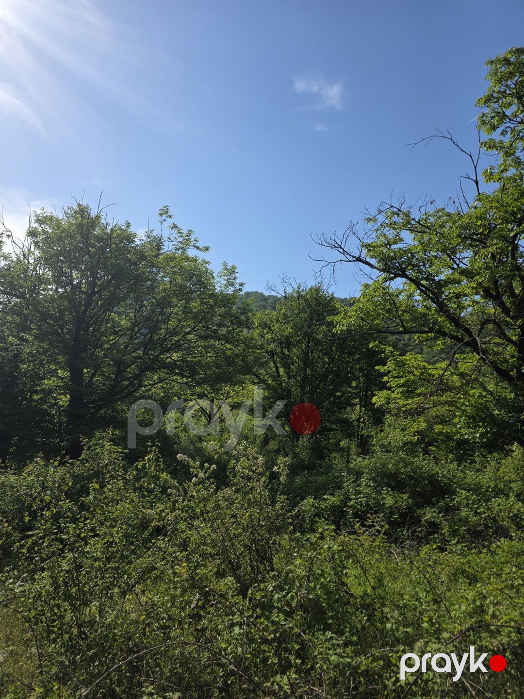 Satılır torpaq 200 sot — Torpaq, Qəbələ (7)