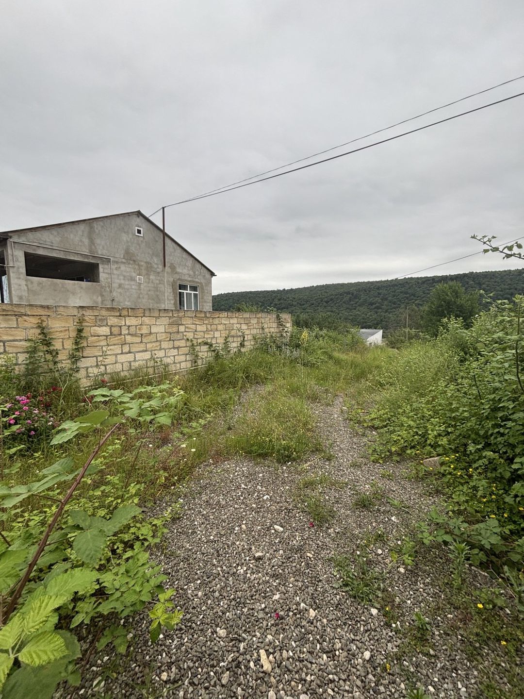 10 sot torpaq sahəsi, Qusar r — Torpaq, Qusar (5)