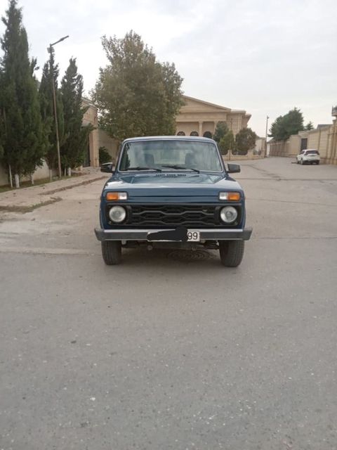 Lada (VAZ) Niva, 1.7 L, 2013 il, 221 176 km — Bakı