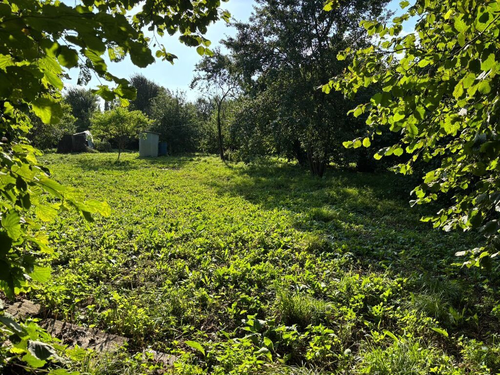 18 sot, Tikinti, Mülkiyyətçi, Kupça (Çıxarış) — Torpaq, İsmayıllı (3)