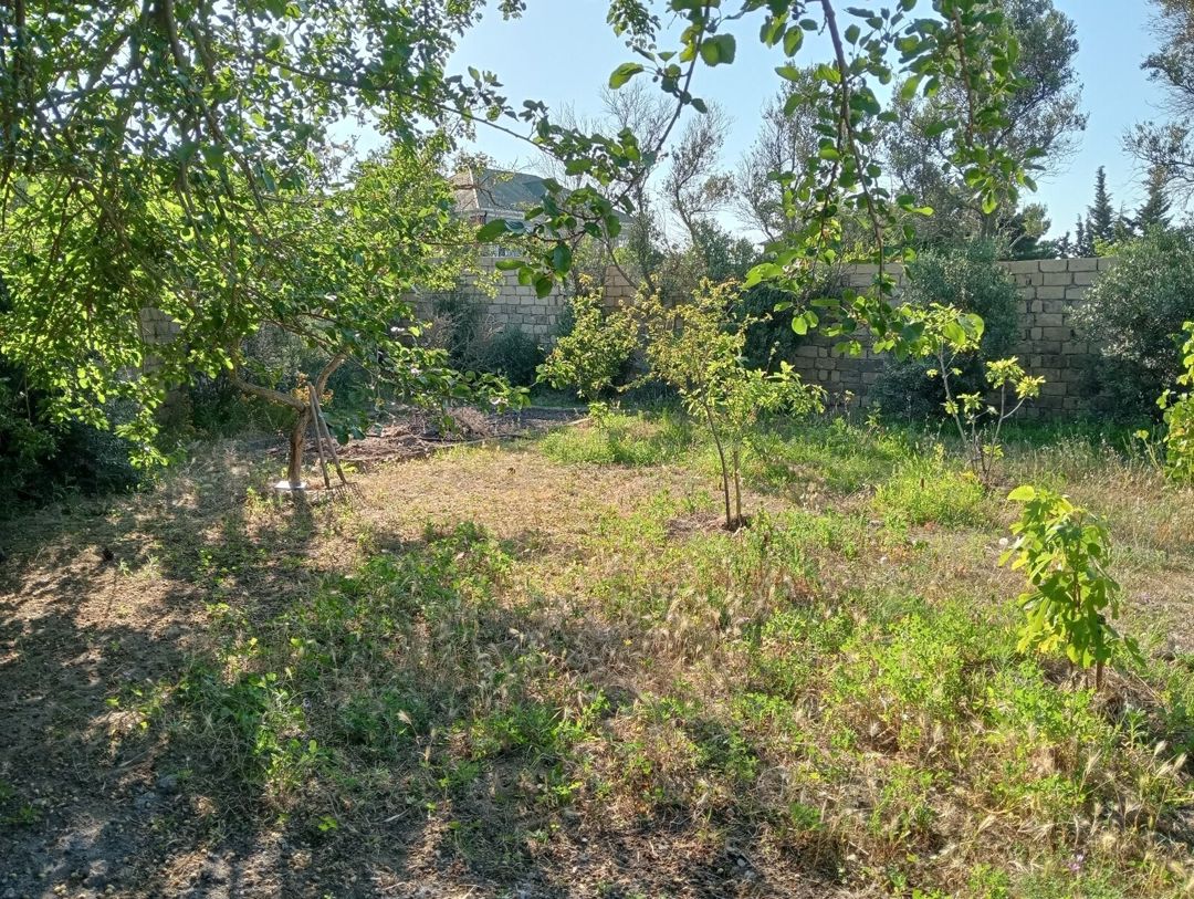 34 sot torpaq sahəsi, Novxanı qəs — Torpaq, Bakı (12)