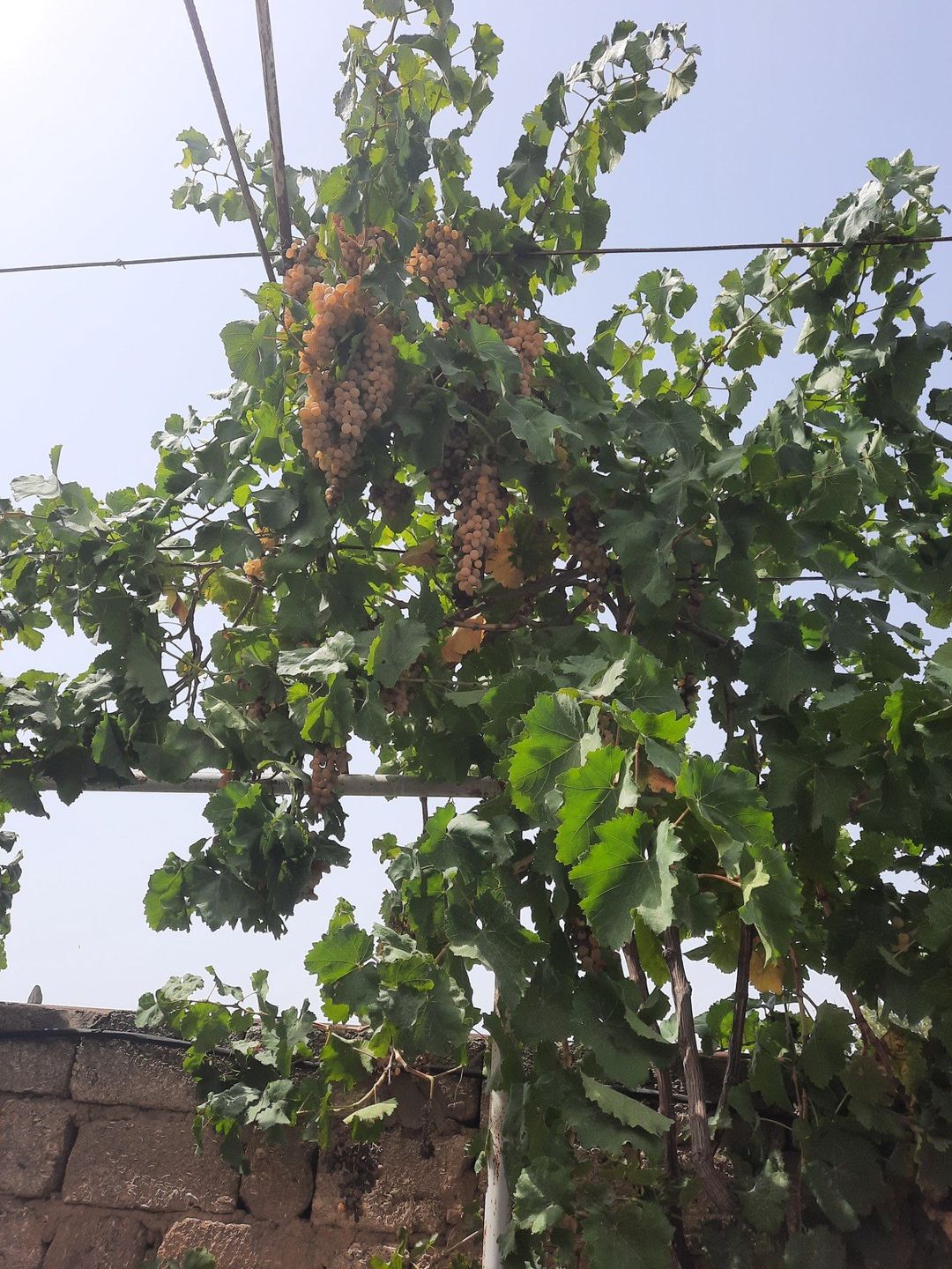 Satılır 3 otaqlı həyət evi/bağ evi 80 m² — Ev, villa, Bakı (7)