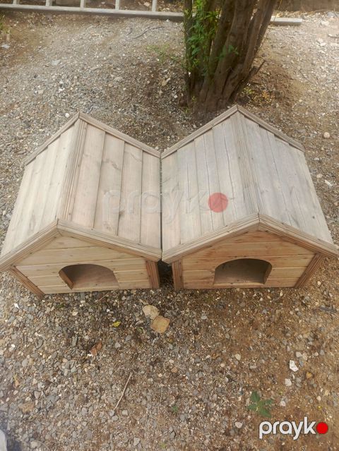 Taxta it/kedi evi – 2 ədəd - Material: tam taxta, qalın lövhələr — Digah