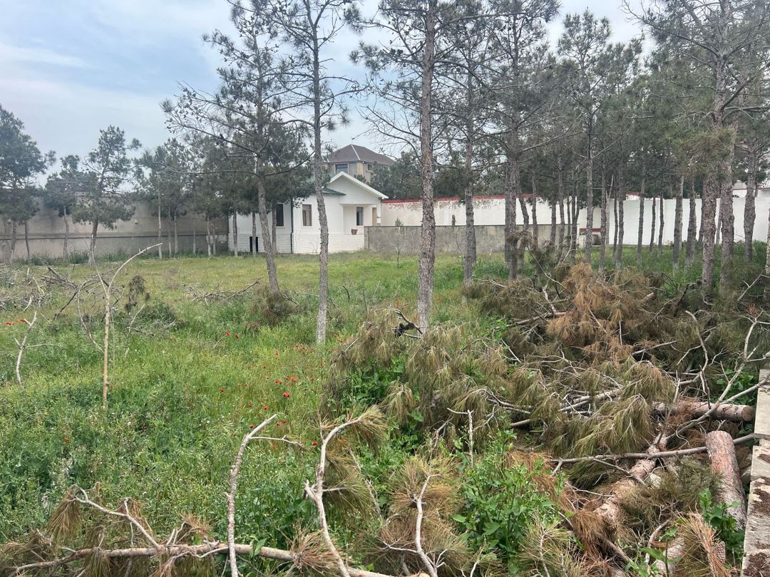 Satılır torpaq 20 sot — Torpaq, Bakı (2)