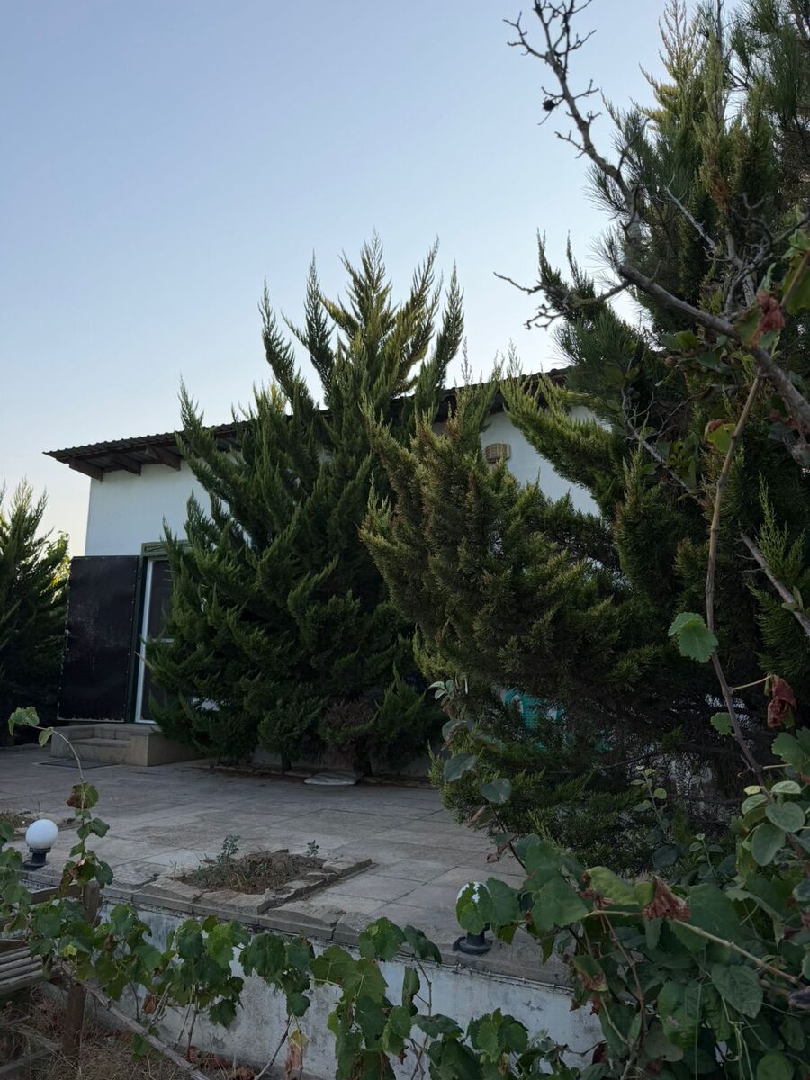 Satılır 3 otaqlı həyət evi/bağ evi 54 m² — Ev, villa, Bakı (3)