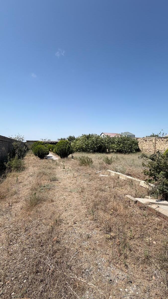 Satılır torpaq 20 sot — Torpaq, Bakı (4)
