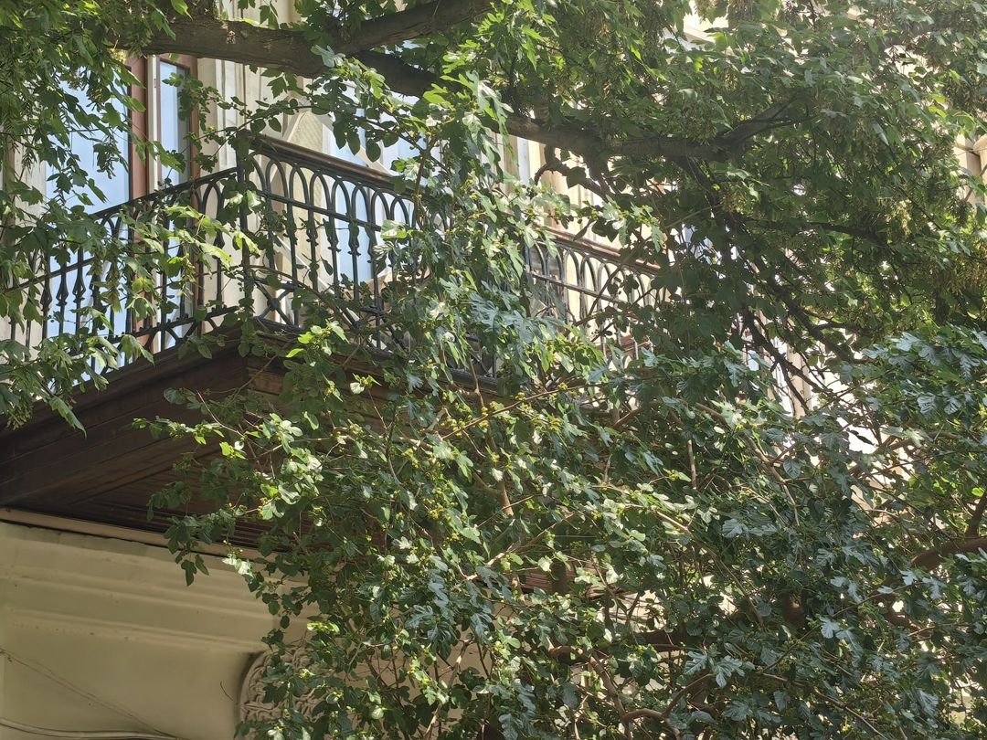 Satılır 3 otaqlı köhnə tikili 90 m² — Mənzil, Bakı (4)