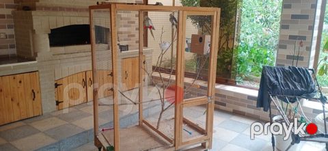 Böyük ölçülü quş volyeri/sərgisi - Material: möhkəm taxta karkas, sıx — Digah