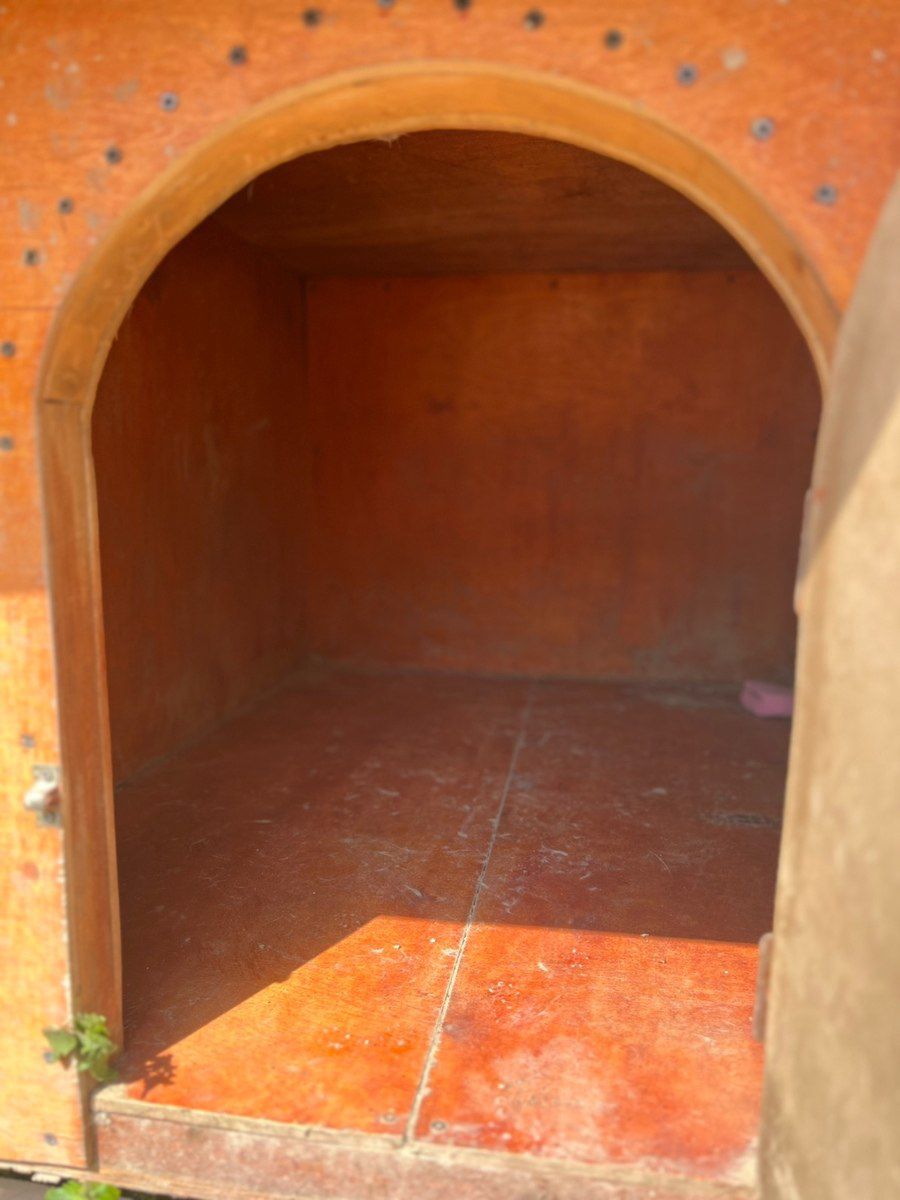 İt yuvası — Heyvan malları, Bakı (3)