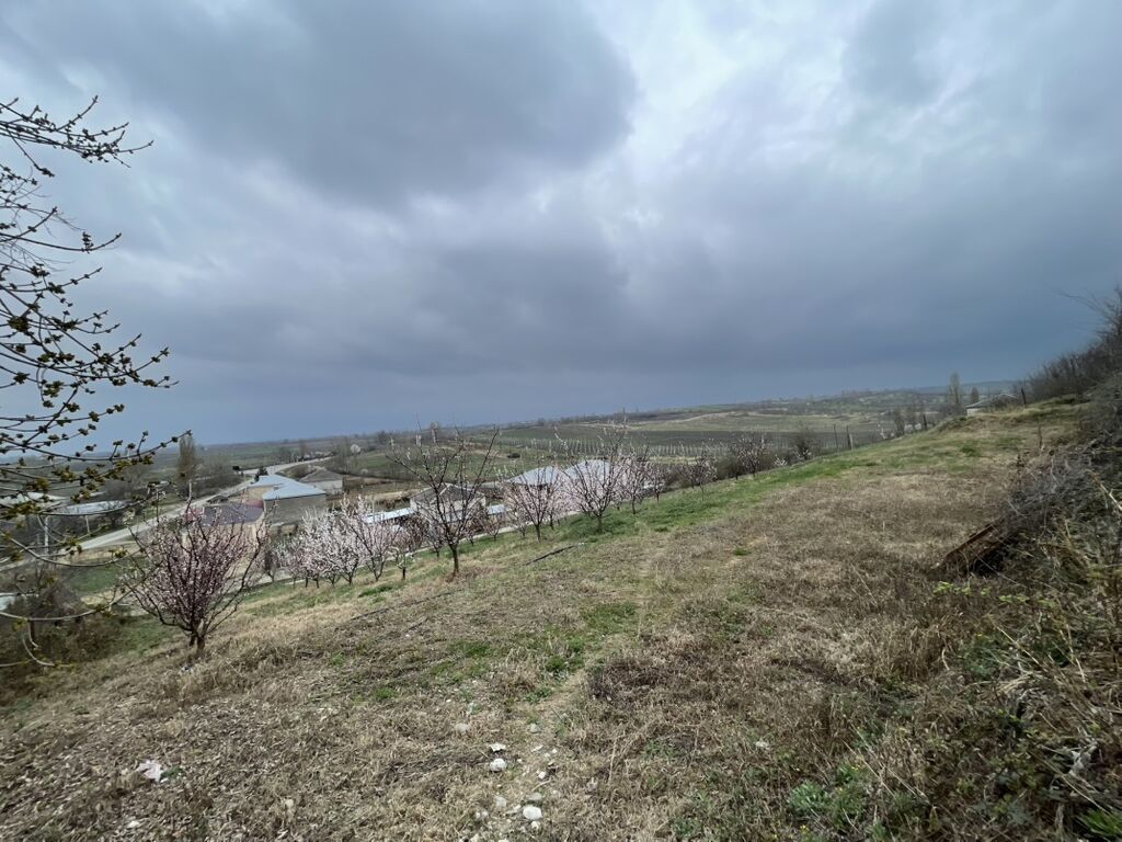 Kənd təsərrüfatı, Makler, Kupça (Çıxarış) — Torpaq, Quba (2)