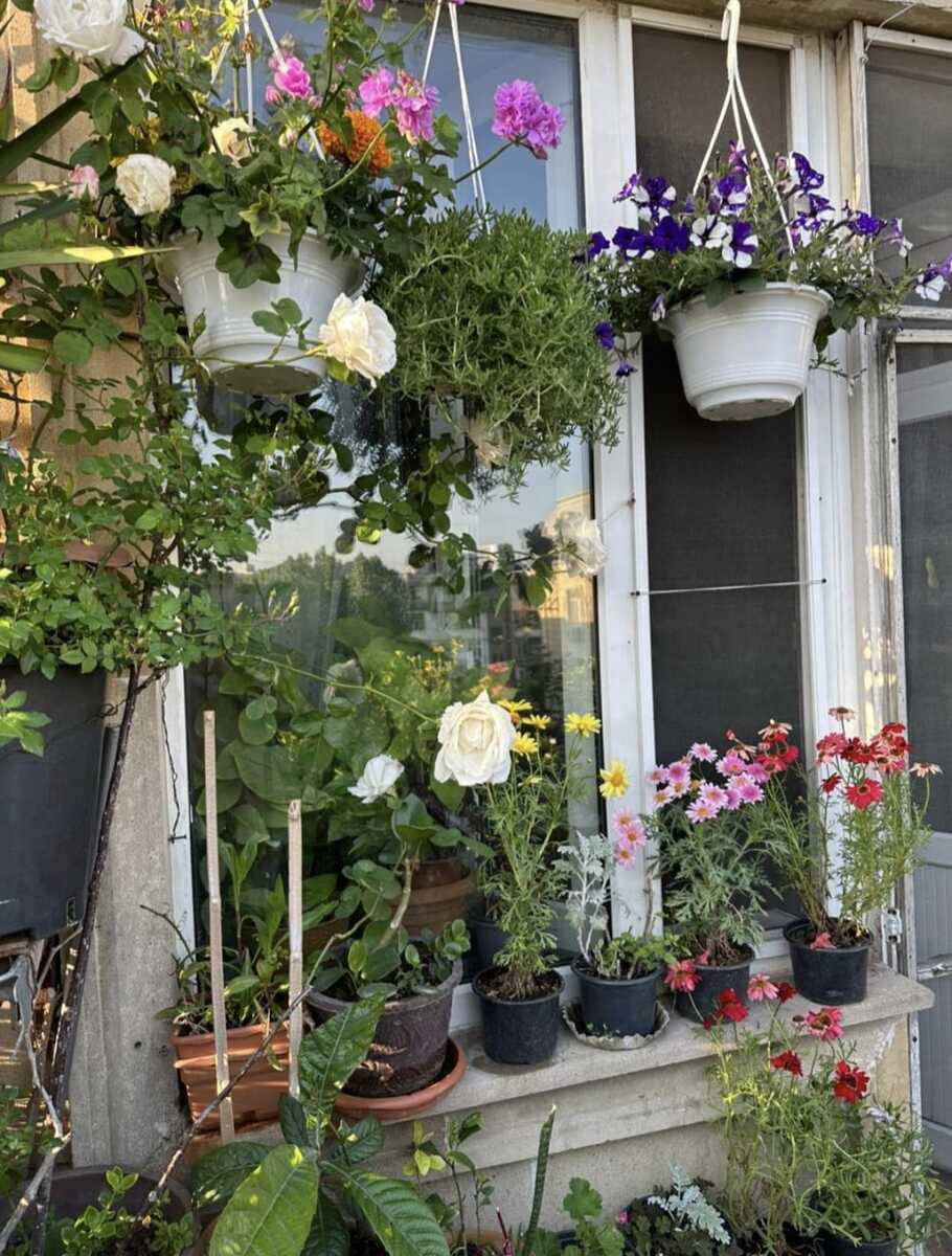 3-otaqlı mənzil kirayə verilir, Xətai m., 95 m² — Mənzil, Bakı (12)