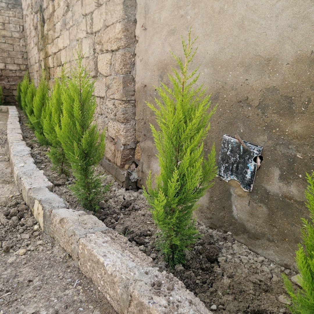 Həyət evi kirayə verilir, Əhmədli m — Ev, villa, Bakı (9)