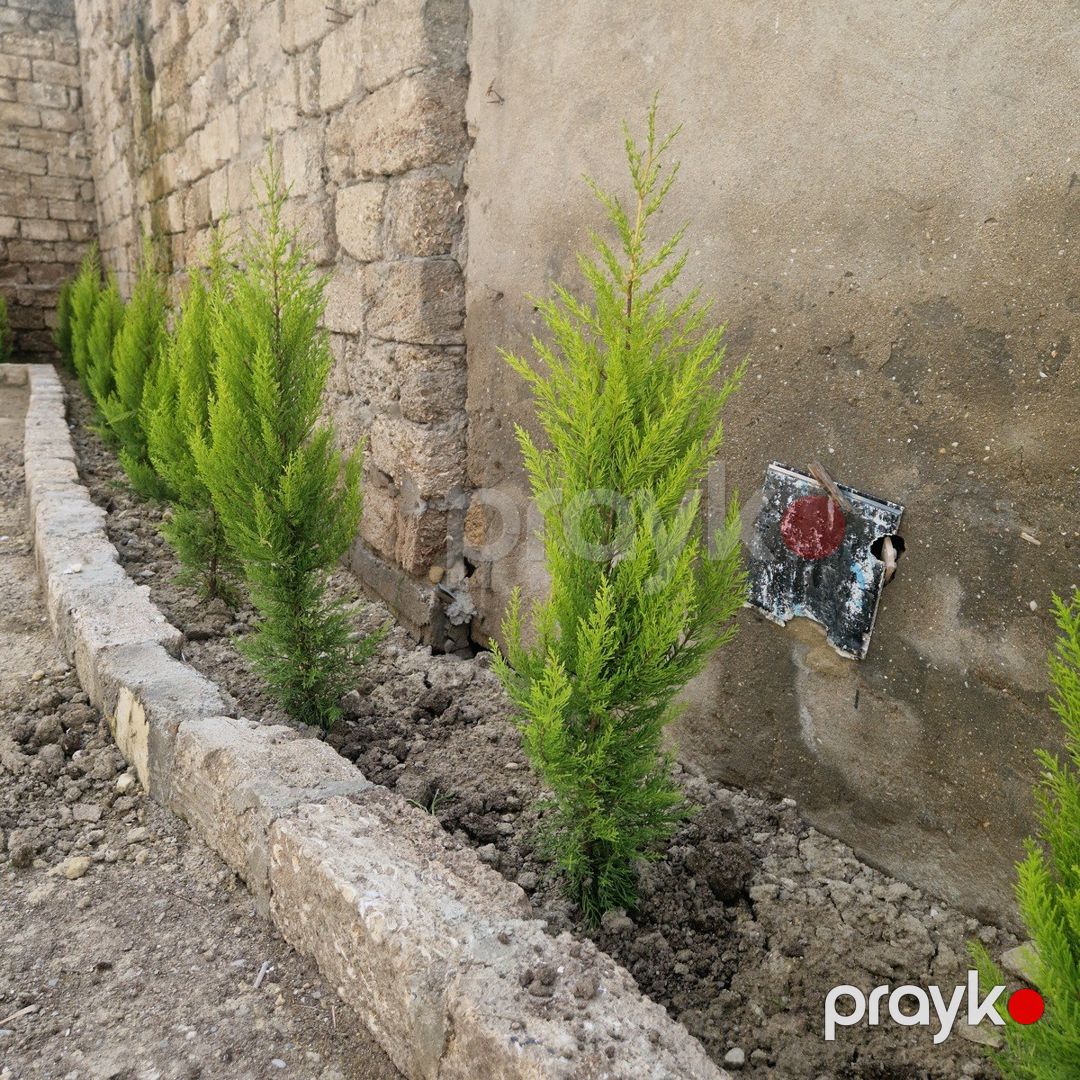 Həyət evi kirayə verilir, Əhmədli m — Ev, villa, Bakı (9)