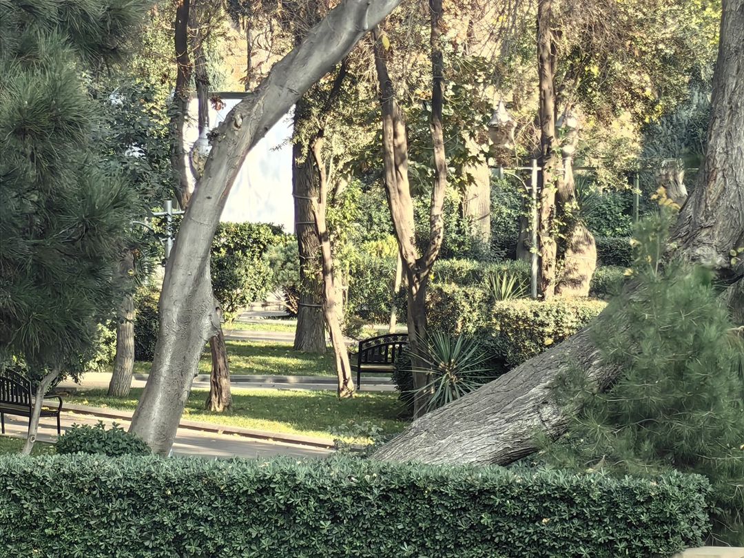 İcarəyə verilir 2 otaqlı köhnə tikili 60 m² — Mənzil, Bakı (11)