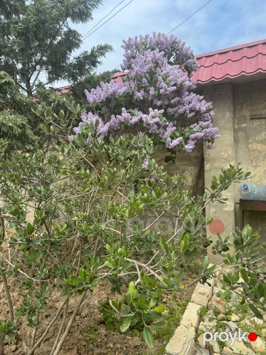 Bağ evi, 28 May qəs — Ev, villa, Bakı (11)