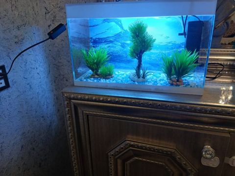 Dördbucaq akvarium, Boş, 10 l, Ödənişli çatdırılma — Qax