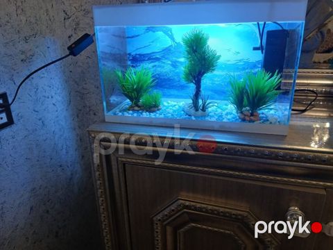 Dördbucaq akvarium, Boş, 10 l, Ödənişli çatdırılma — Qax