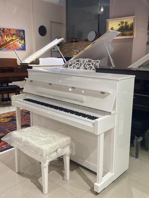 "Pearl River" və "Ritmuller" pianoları — Bakı