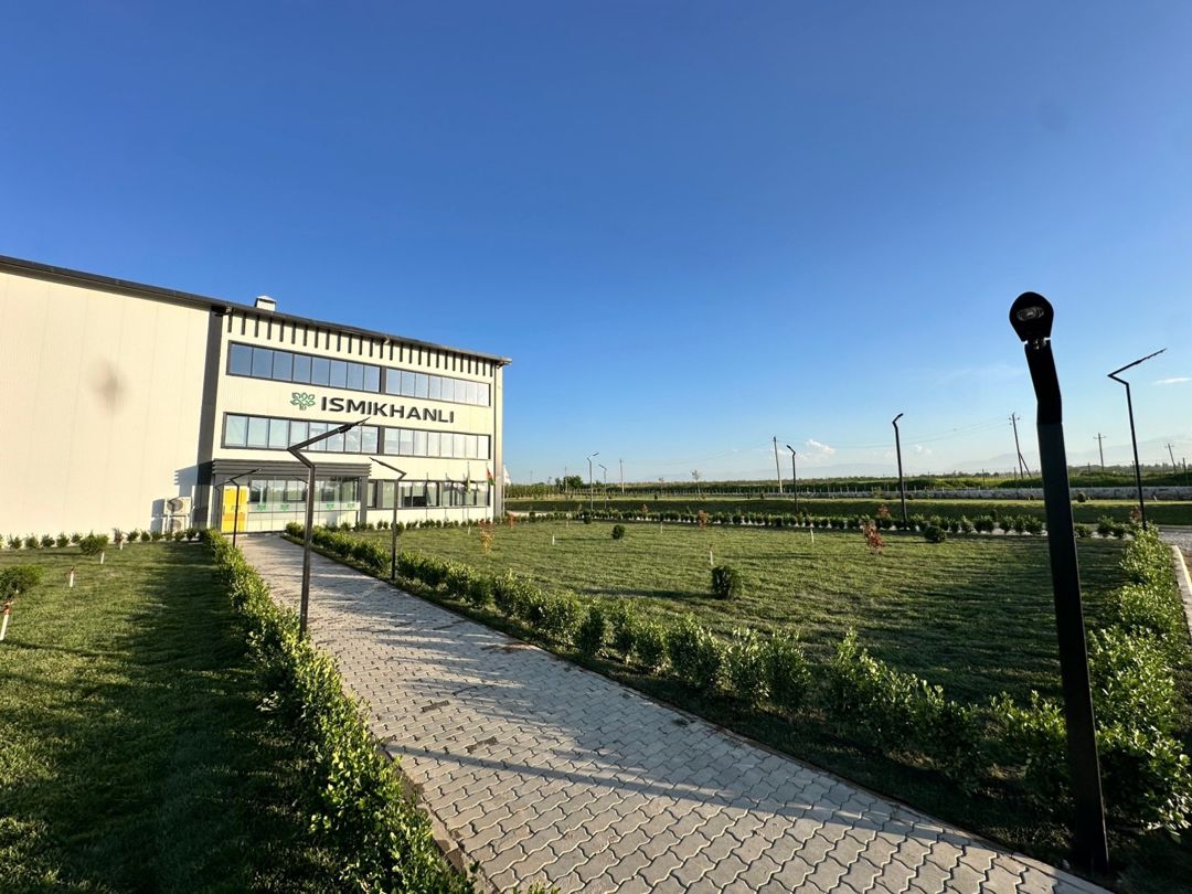 Qazon — Bitkilər, Bakı (2)
