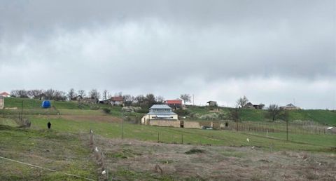 12 sot torpaq sahəsi, Şamaxı ş — Şamaxı