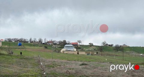 12 sot torpaq sahəsi, Şamaxı ş