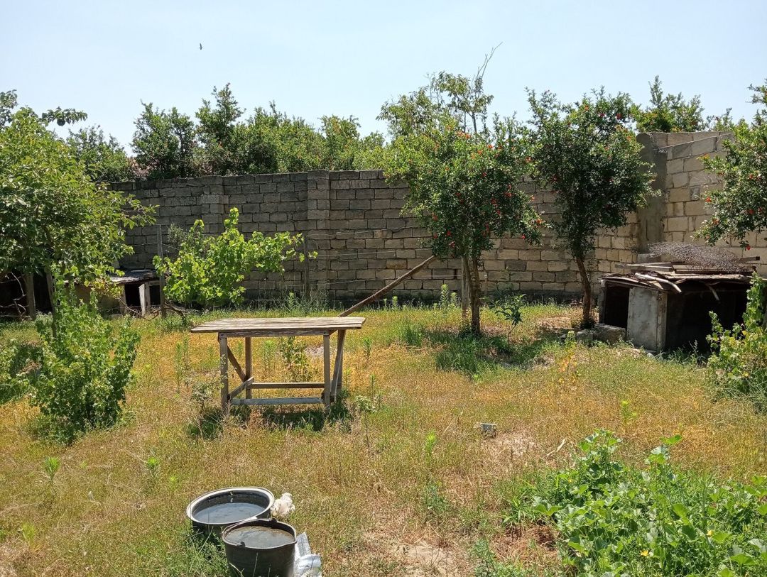 5.5 sot torpaq sahəsi, Novxanı qəs — Torpaq, Bakı (4)