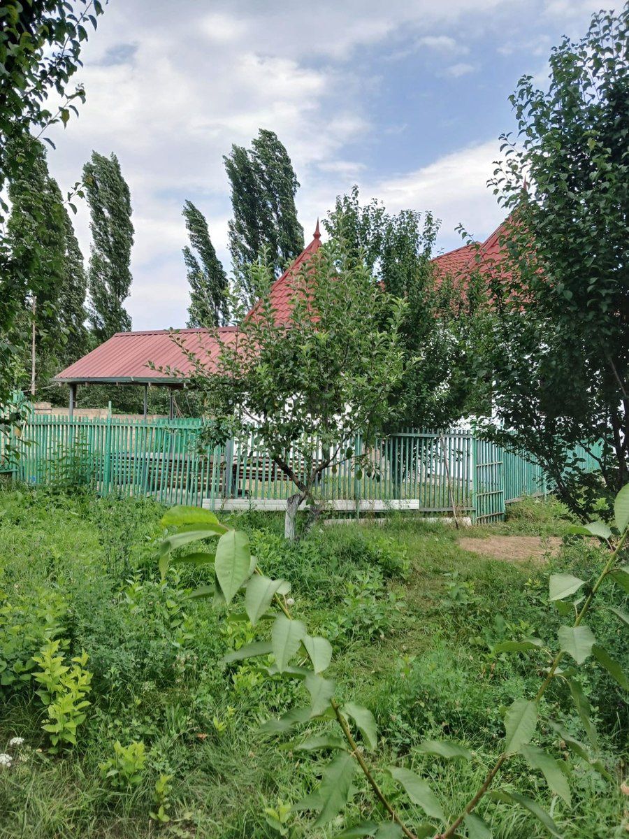 Bağ evi kirayə verilir, Rustov kəndi — Ev, villa, Quba (11)
