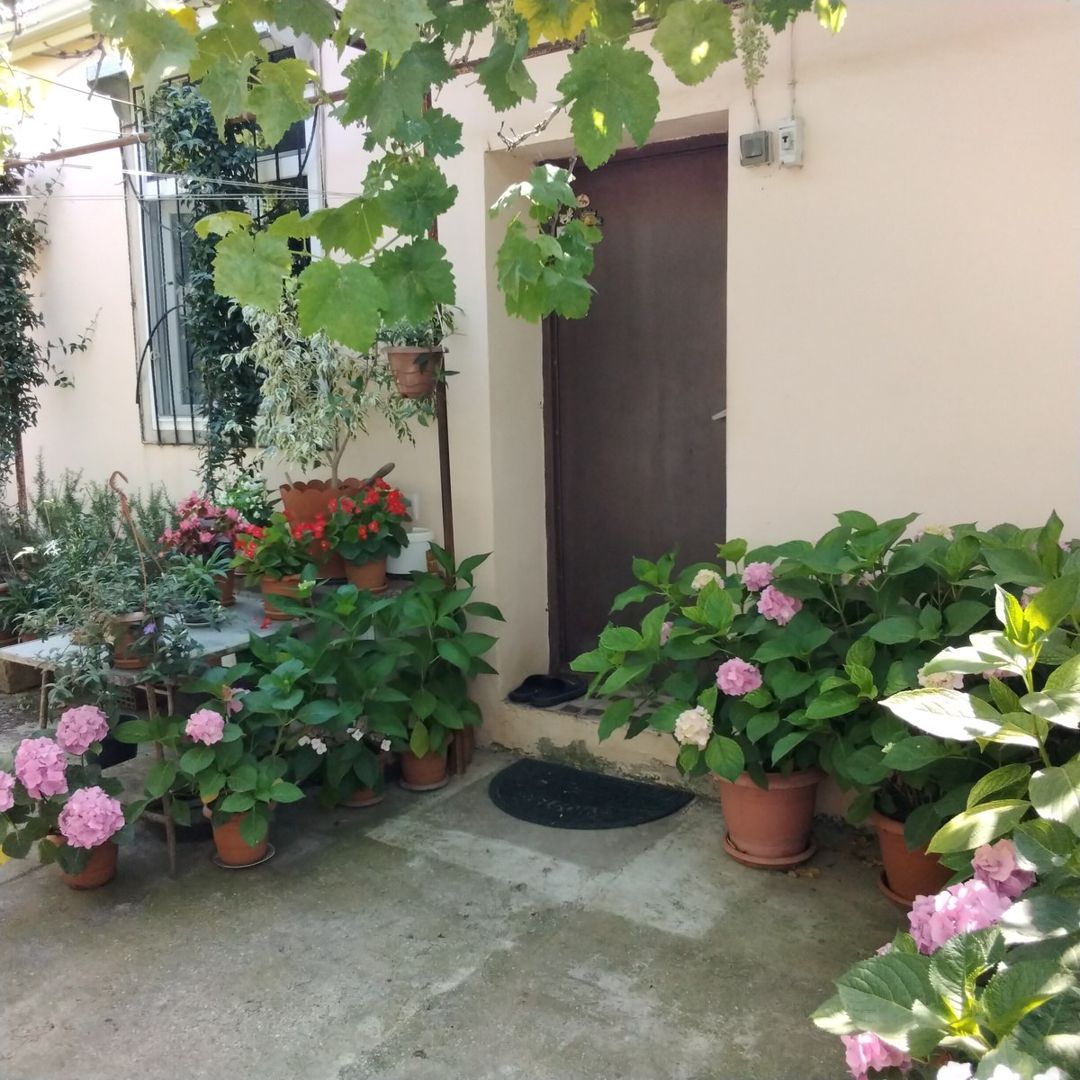 Satılır 3 otaqlı həyət evi/bağ evi 65 m² — Ev, villa, Bakı (8)