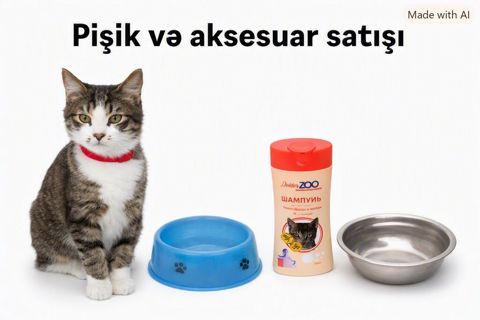 Erkək, Yaxşı əllərə, Ünvandan götürmə — Xaçmaz