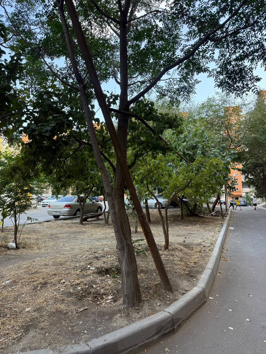 Satılır 3 otaqlı köhnə tikili 80 m² — Mənzil, Bakı (9)