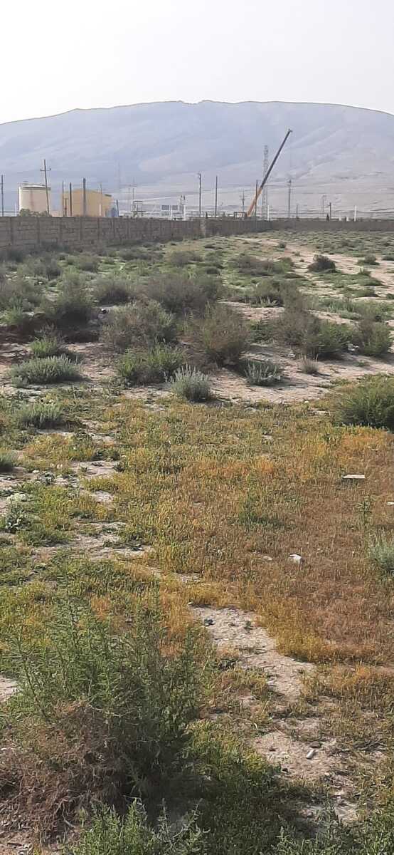 Satılır torpaq 70 sot — Torpaq, Bakı (2)