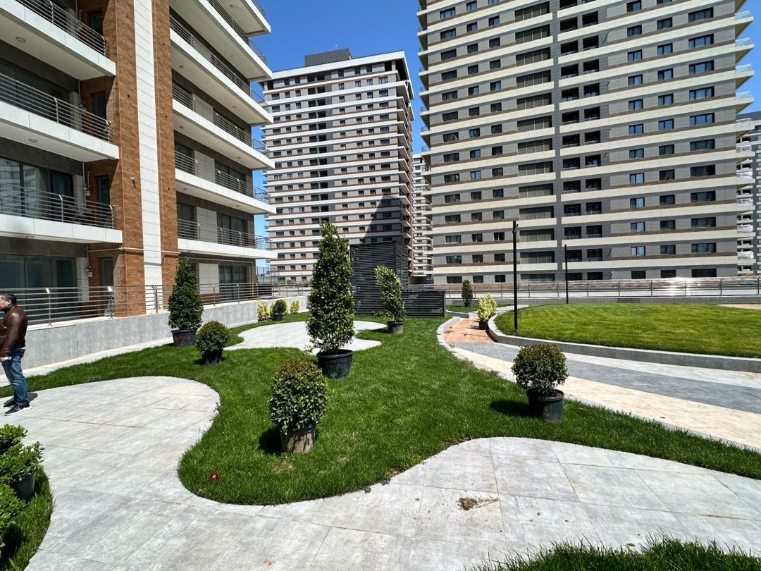 Qazon — Bitkilər, Bakı (8)